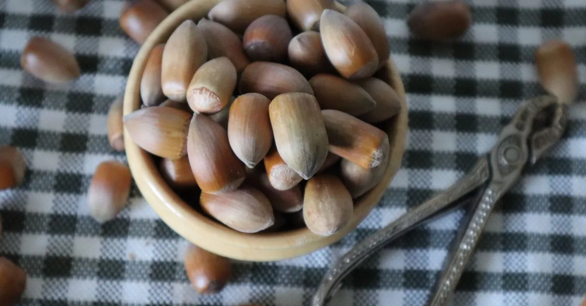 découvrez notre recette maison de praliné aux noisettes, une délicieuse pâte croquante et fondante parfaite pour vos desserts et gourmandises.