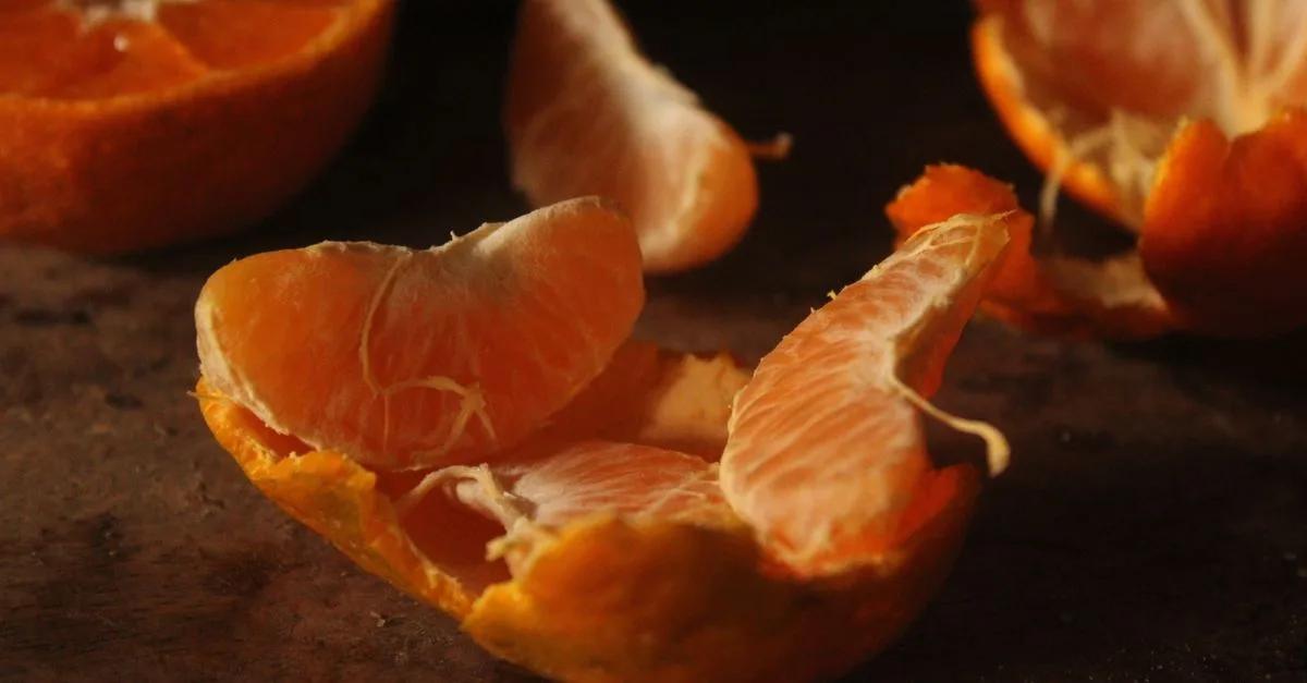 découvrez nos écorces d'orange enrobées de chocolat, une délicieuse gourmandise alliant douceur et fraîcheur fruitée, parfaite pour une pause plaisir.