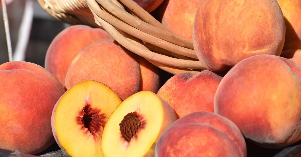 découvrez notre délicieuse confiture de pêche, délicatement sucrée et parfaite pour vos tartines, desserts et recettes maison.
