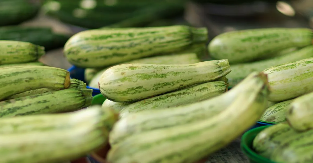 découvrez des recettes délicieuses et faciles à base de courgettes pour toutes les occasions, des plats sains aux idées originales.