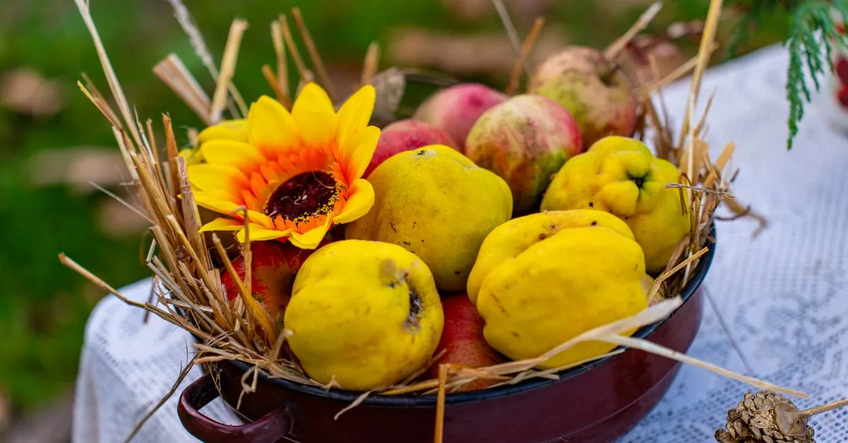 découvrez notre recette maison de gelée de coing, une douceur fruitée parfaite pour vos tartines, desserts et plats sucrés-salés.